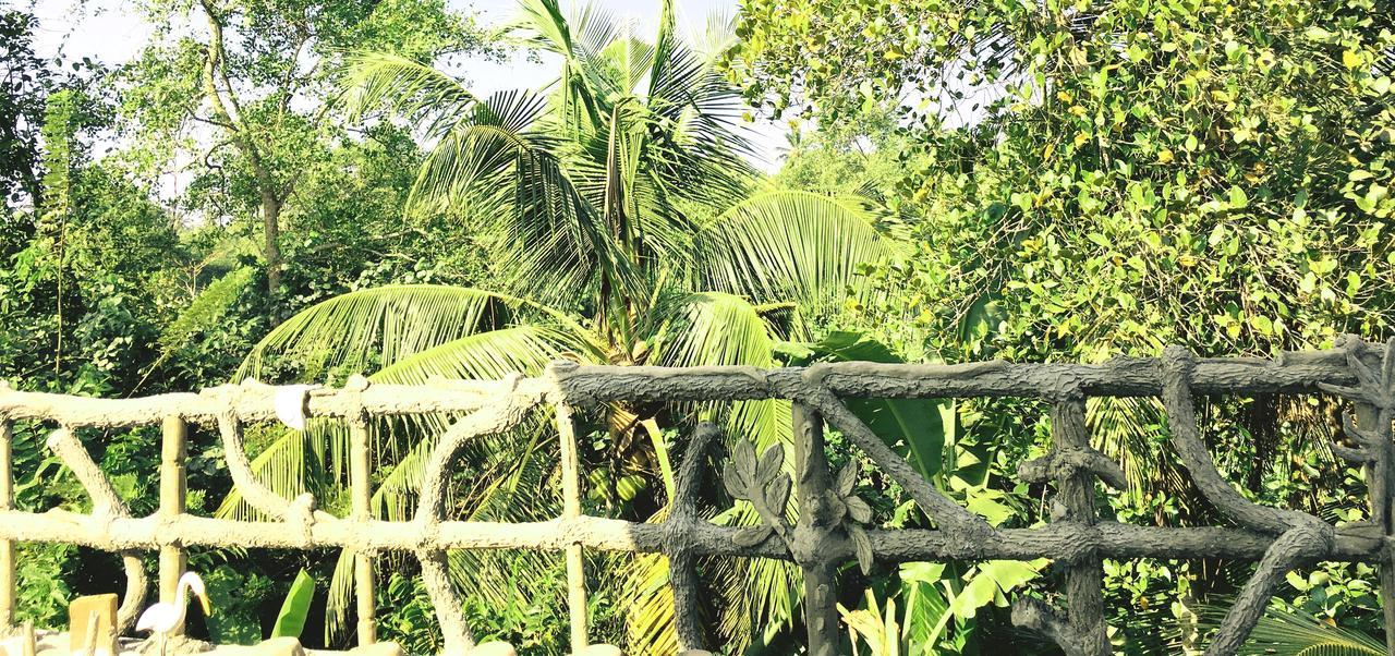 Galle Paradise Inn Ngoại thất bức ảnh