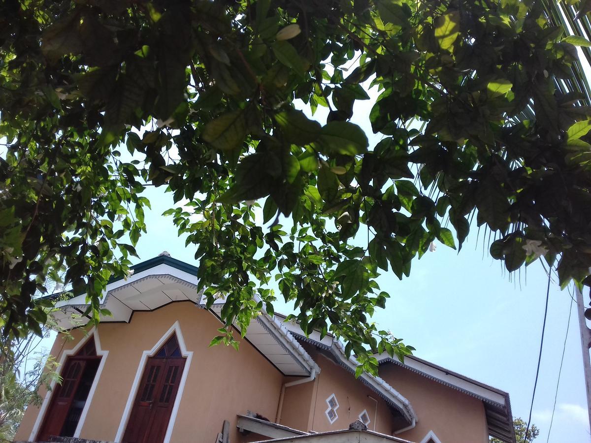 Galle Paradise Inn Ngoại thất bức ảnh