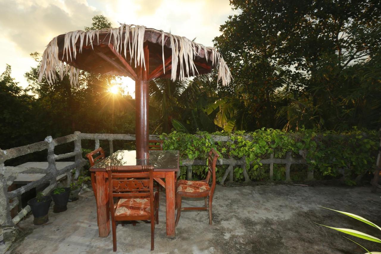 Galle Paradise Inn Ngoại thất bức ảnh